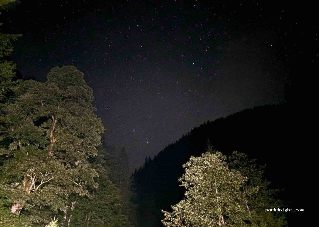 (117631) Sătic - — foto 2