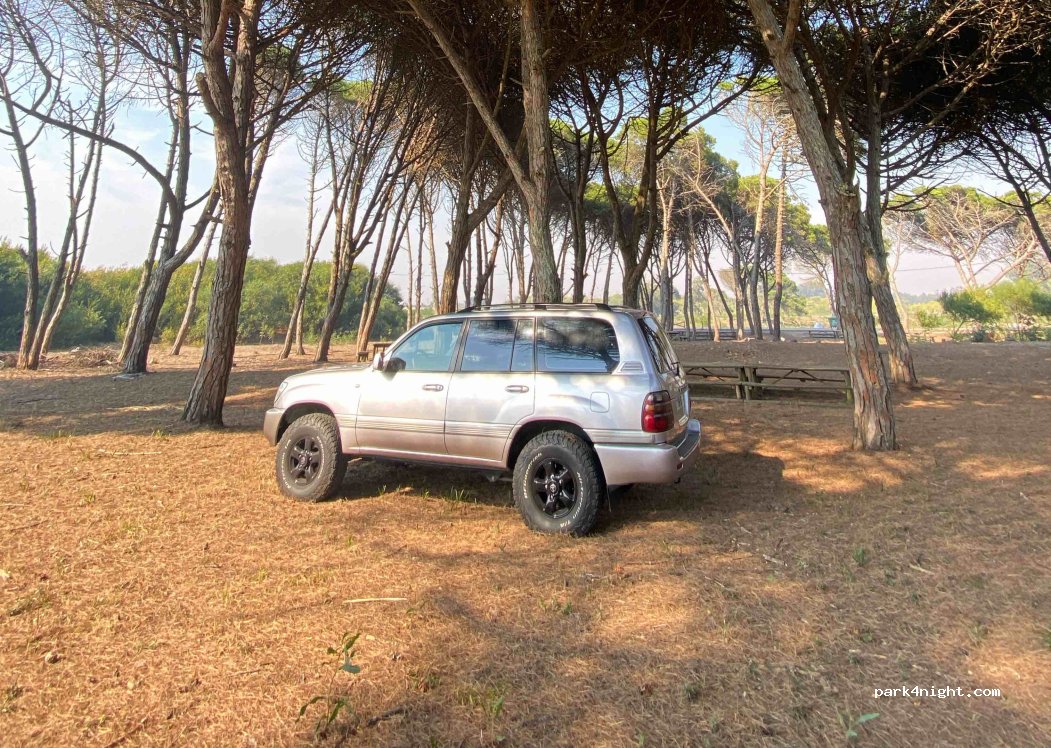 (3090) Figueira da Foz - R.Mte. Cardoso — foto