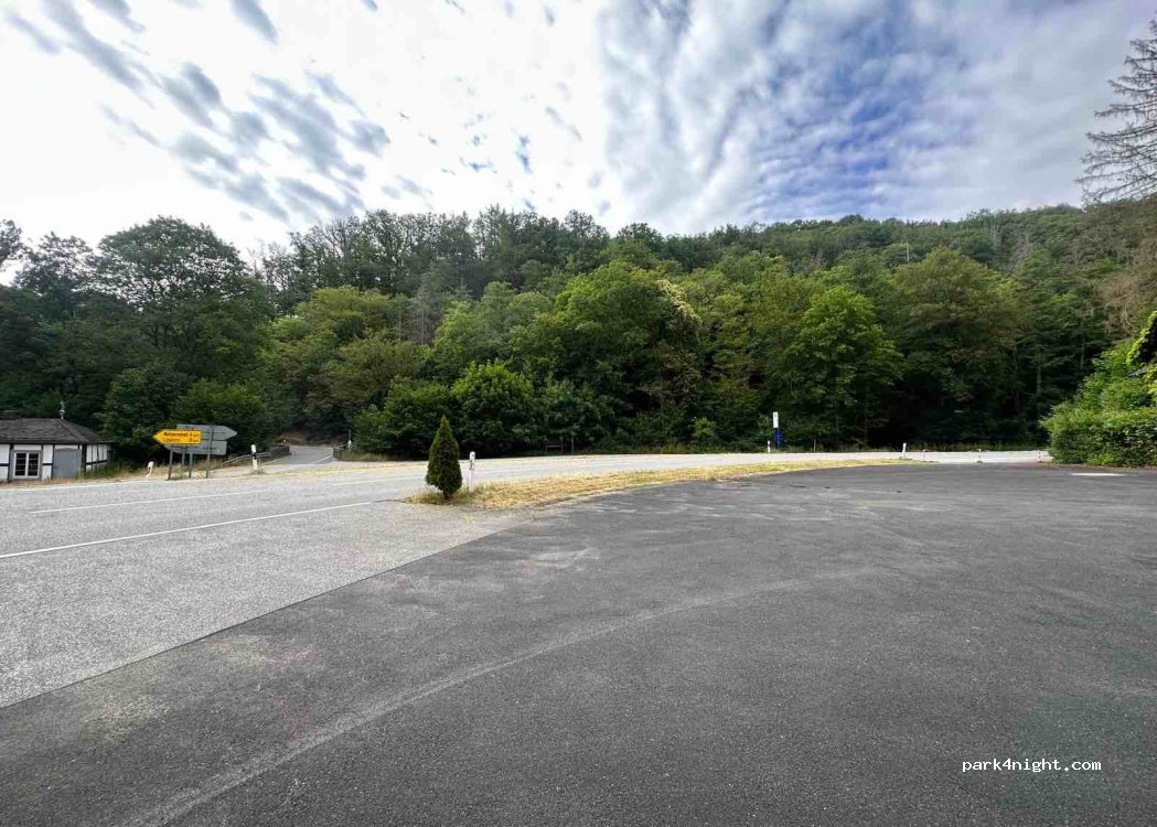 (65391) Lorch - Unnamed Road — foto