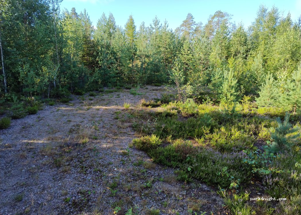 (683 91) Sundsjon - Unnamed Road — foto