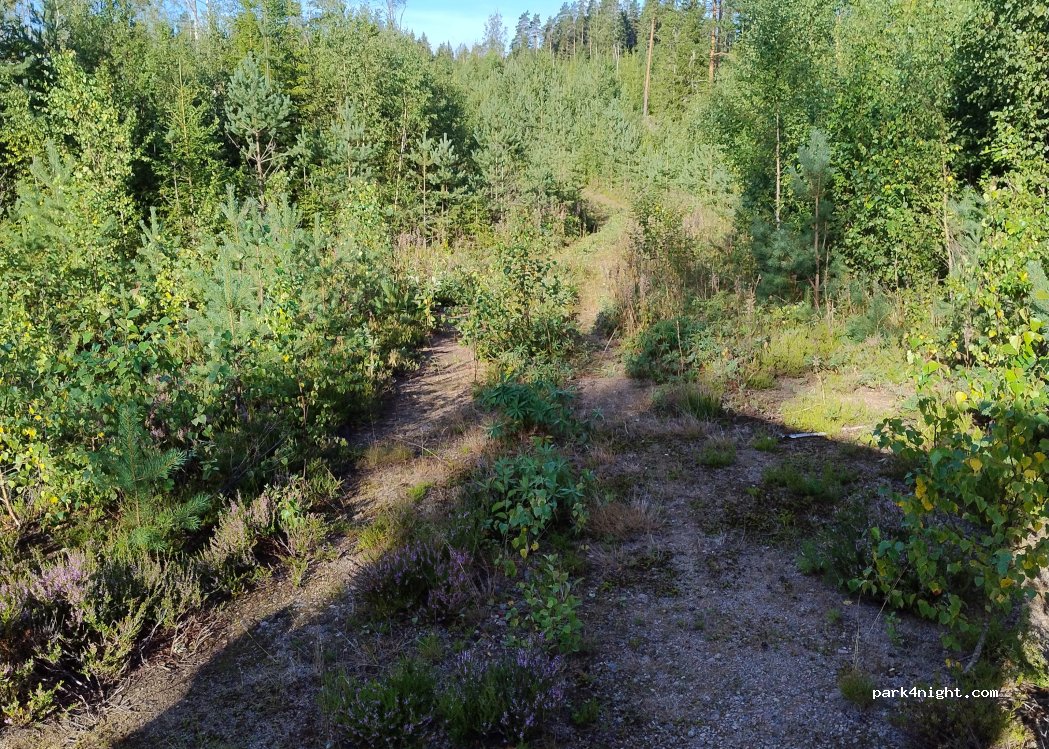 (683 91) Sundsjon - Unnamed Road — foto 2