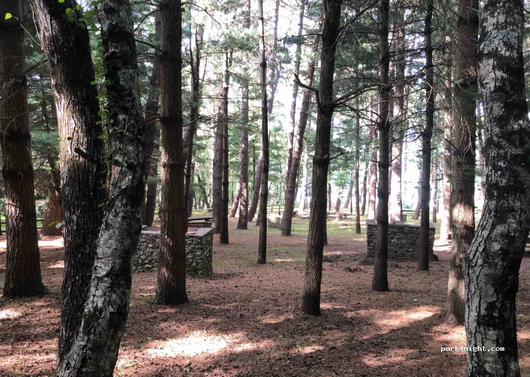 (88042) Falerna - Unnamed Road — foto 3