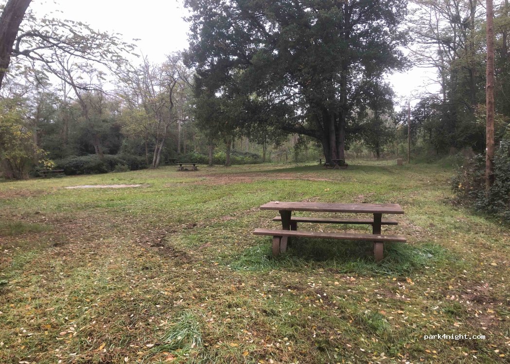 (45380) Chaingy - Chemin de Halage — foto 3