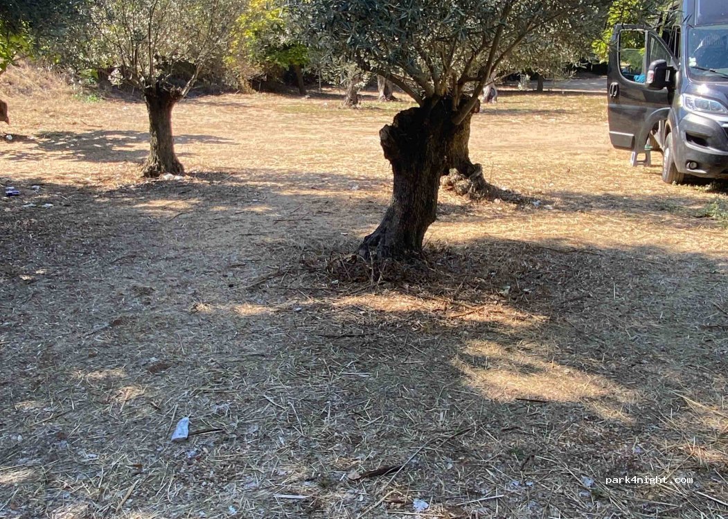 (49440) Cañizal - 40 Diseminado Diseminados — foto 2