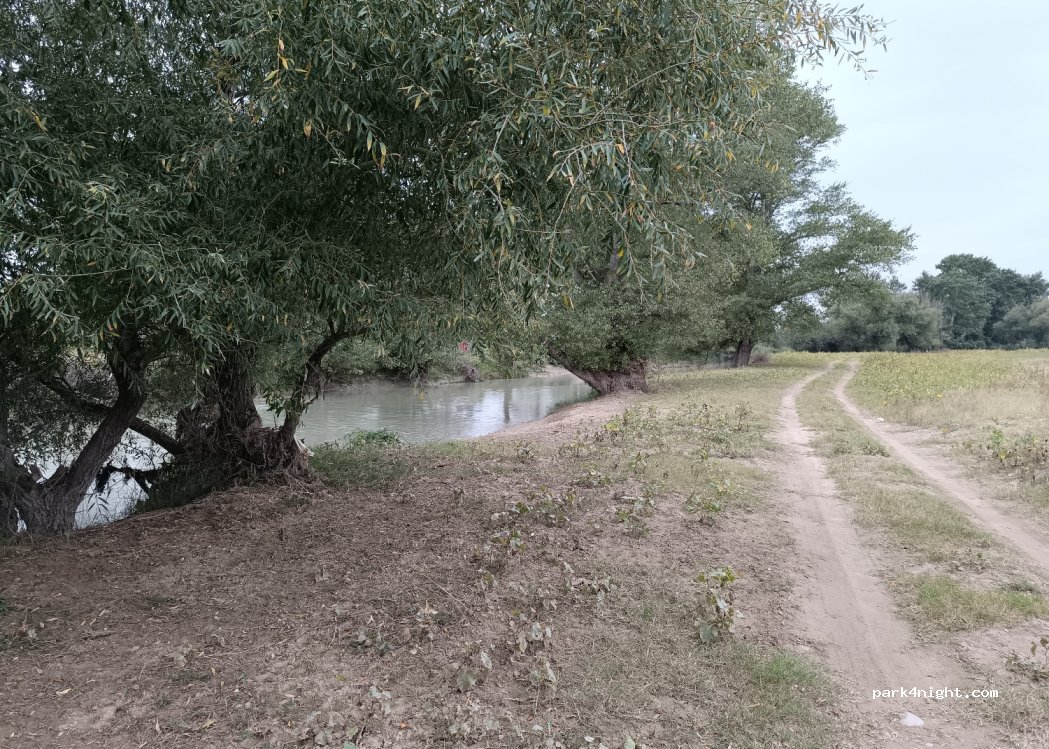 () Sagarejo - Unnamed Road — foto
