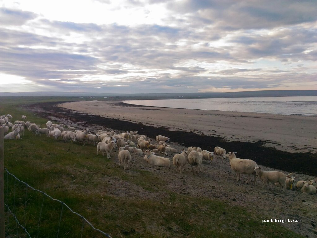 (9804) Ekkerøy - 10 Fylkesveg 321 — foto
