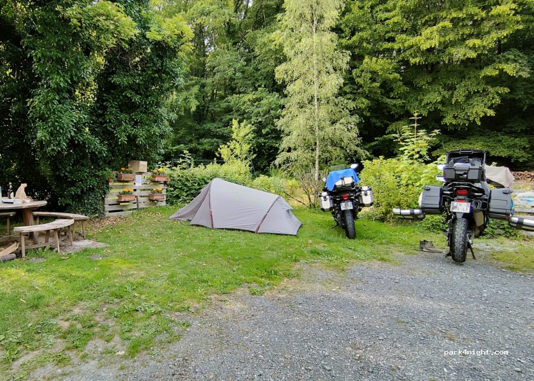 (08150) Sévigny-la-Forêt - 20 Bois de l'Échelle — foto 3