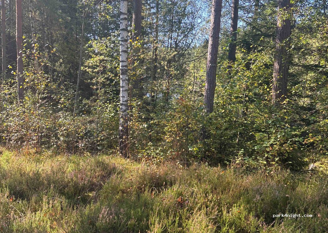(335 93) Åsenhöga - — foto