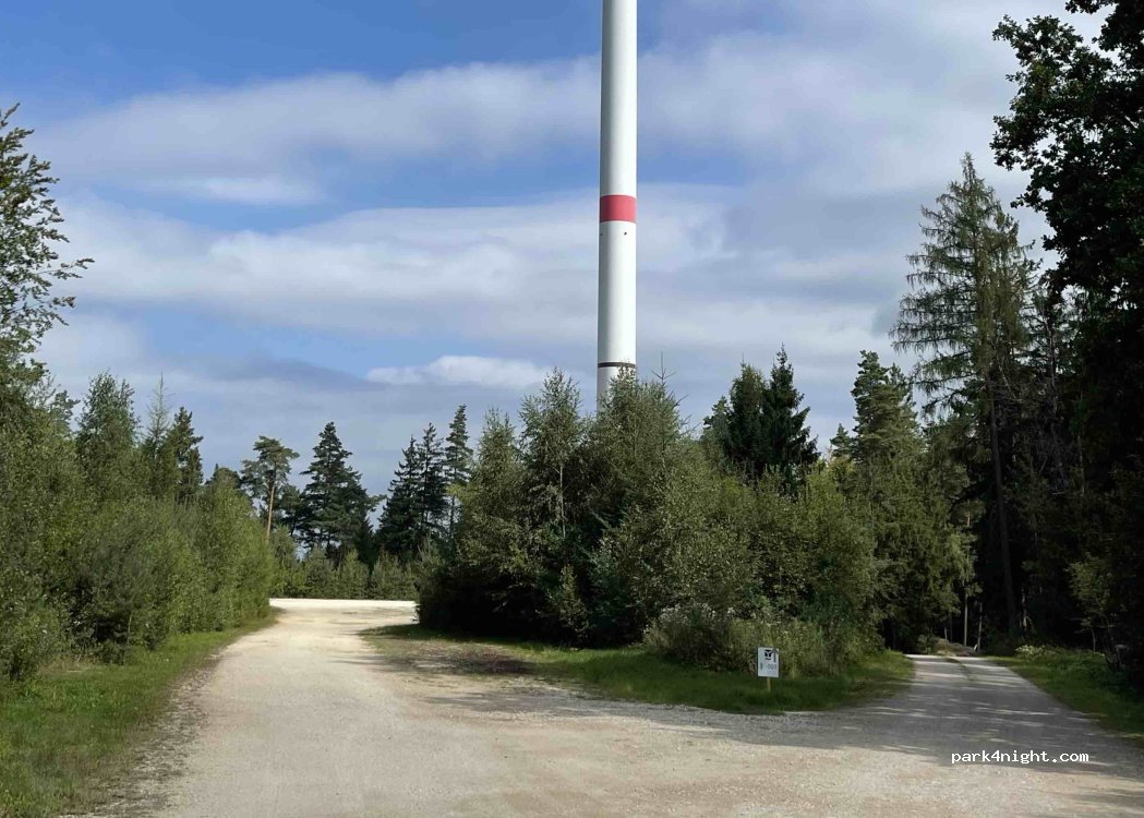 (95503) Lindenhardter Forst-Nordwest - — foto 3