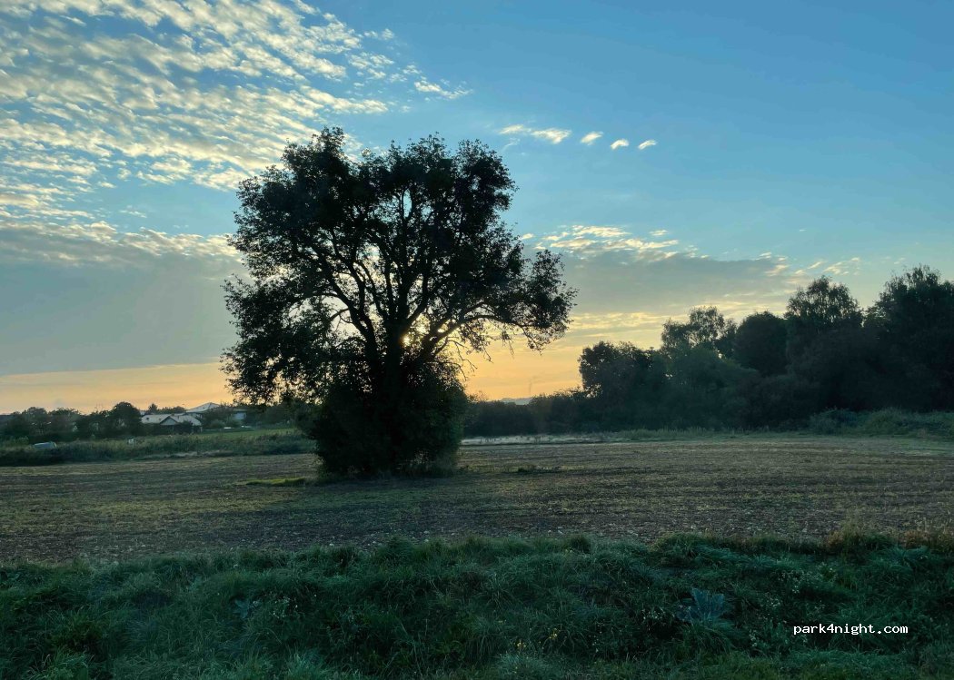 (01630) Saint-Jean-de-Gonville - Unnamed Road — foto