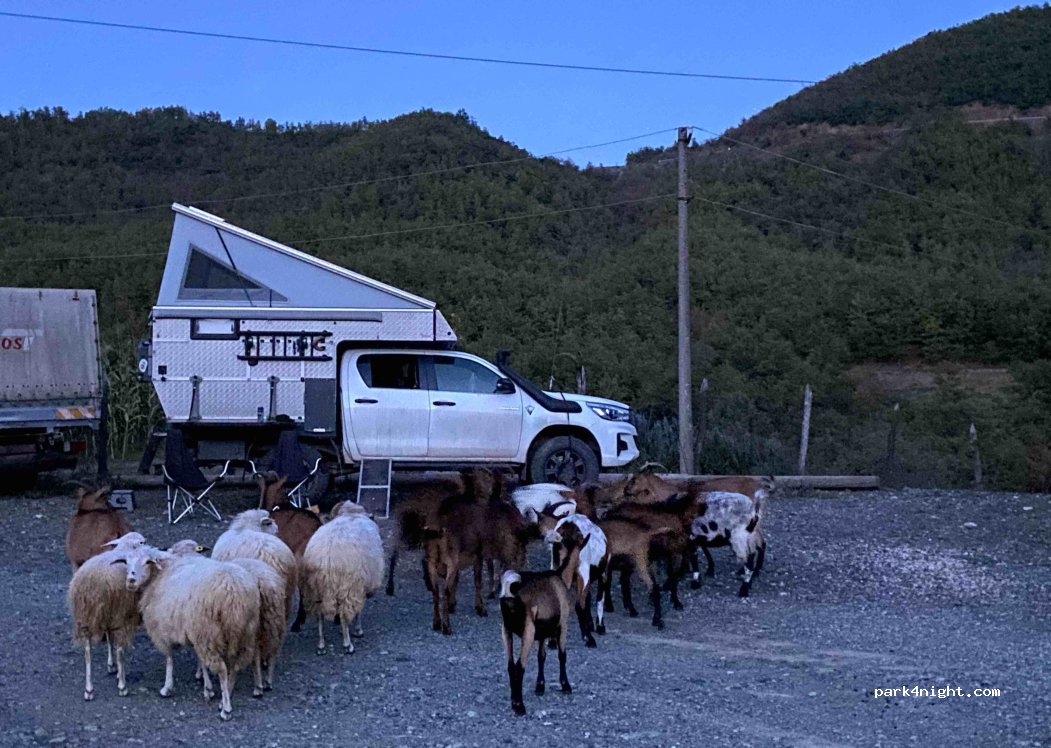 Camping Vjollca & Paulin — foto 5