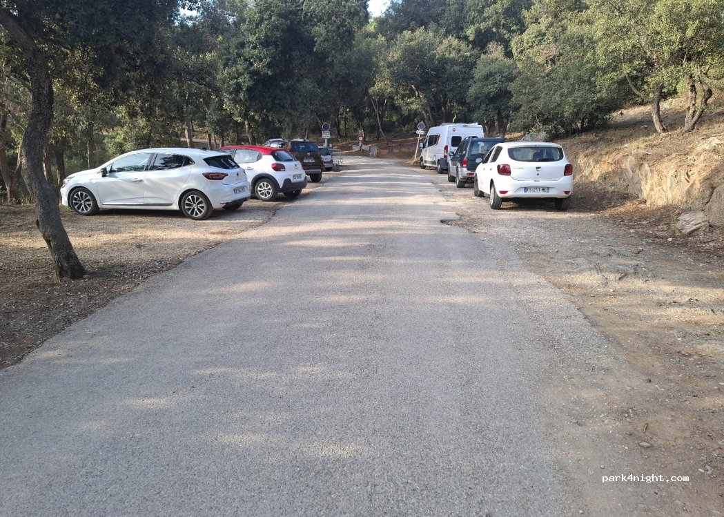 (83140) Six-Fours-les-Plages - Route Forestière Corniche Varoise — foto