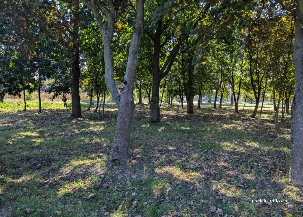 (3561) Felsőzsolca - Unnamed Road — foto 2