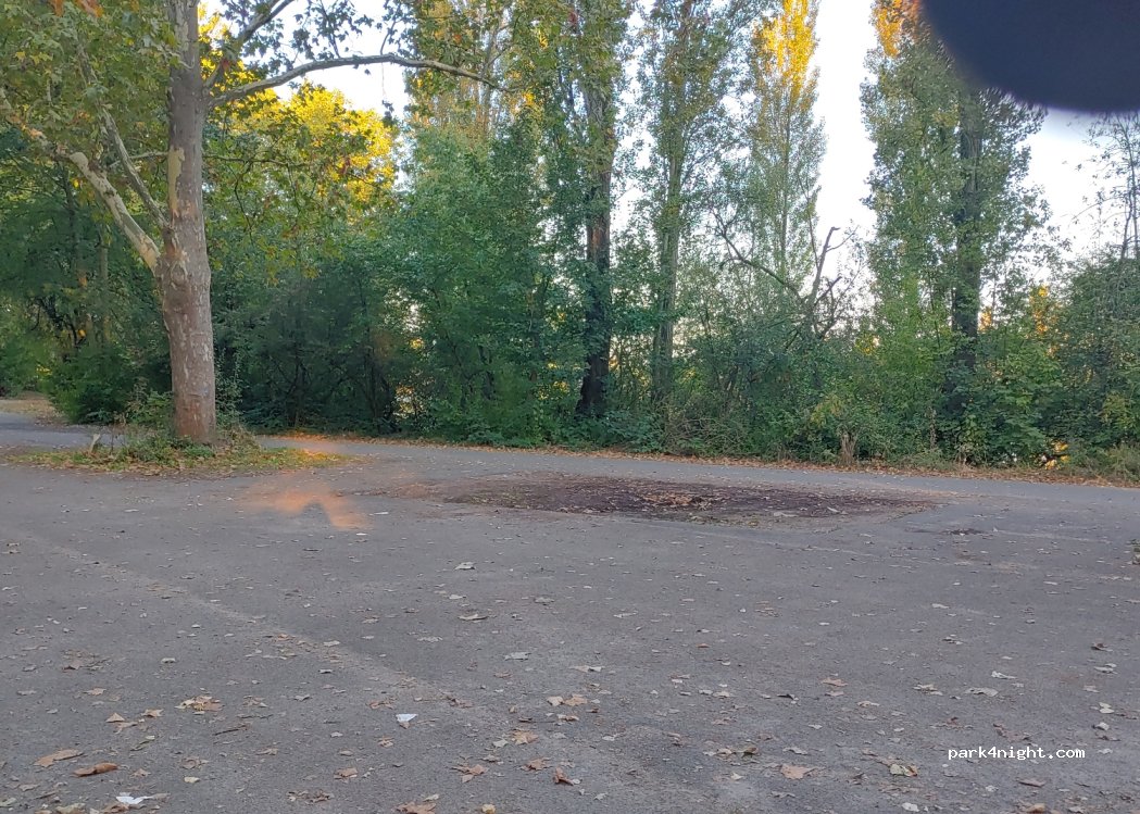 (67063) Ludwigshafen am Rhein - 51 Strandweg — foto 2