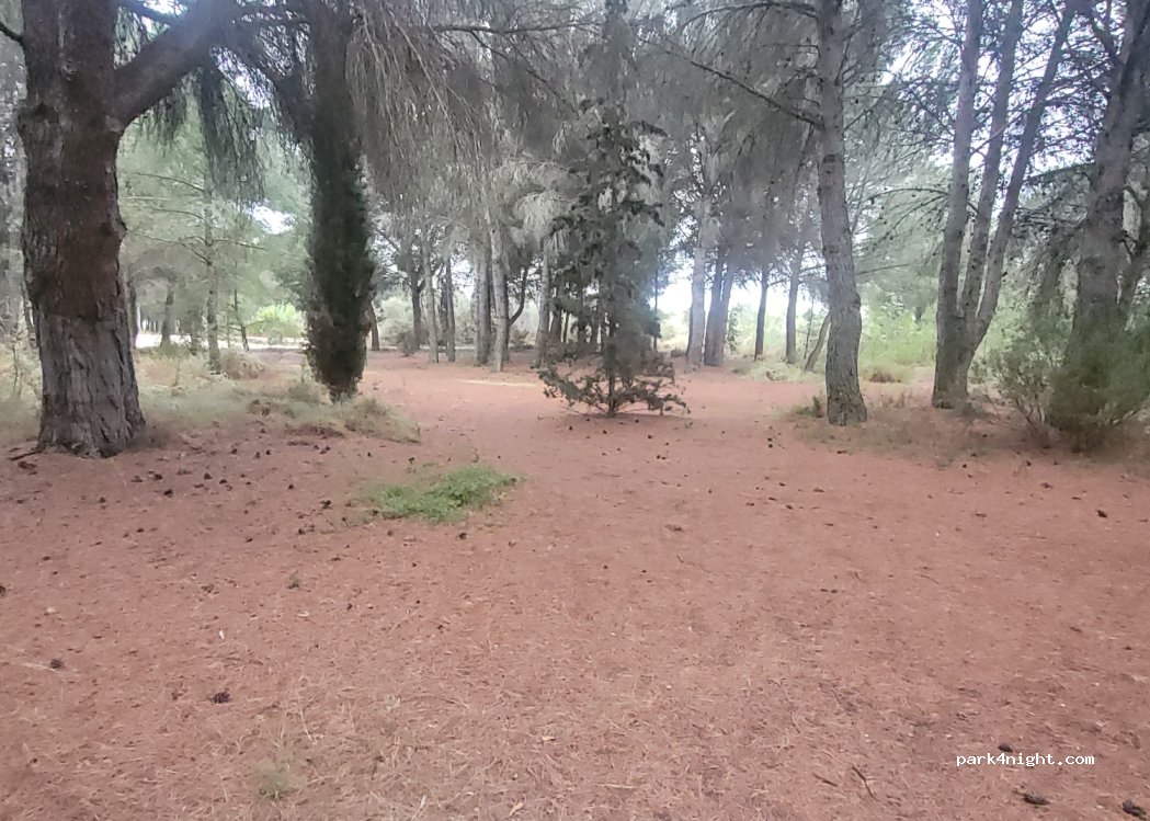 (50600) Ejea de los Caballeros - — foto 2