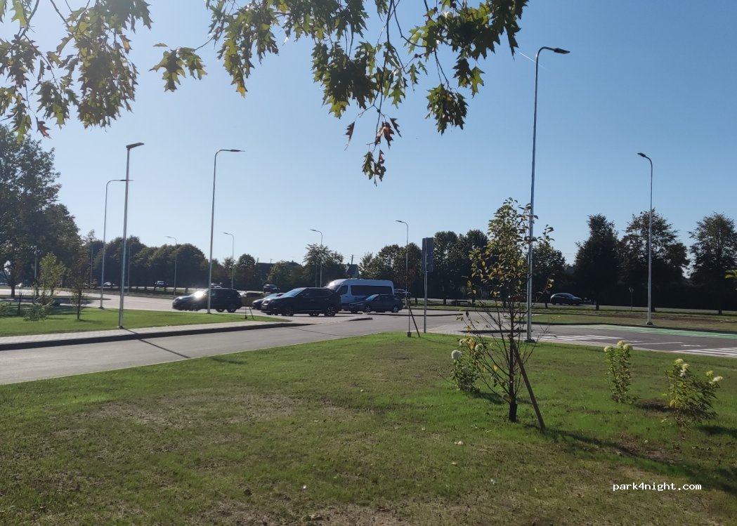 (54129) Raudondvaris - 15 S. Nėries gatvė — foto