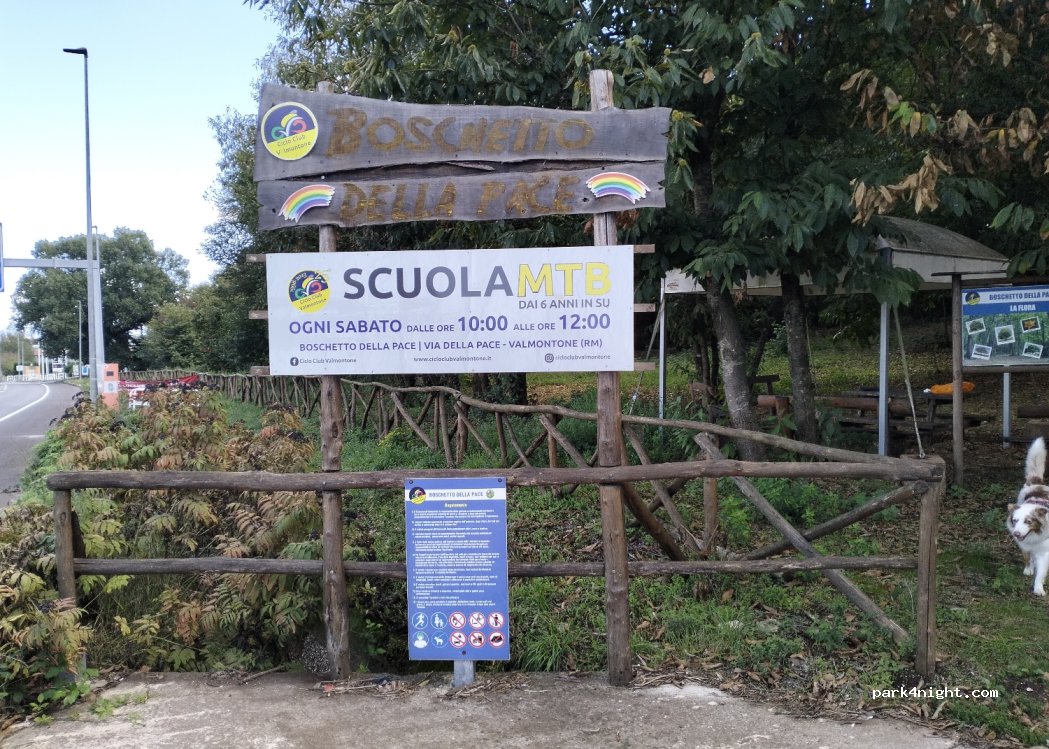 (00038) Valmontone - Via della Pace — foto