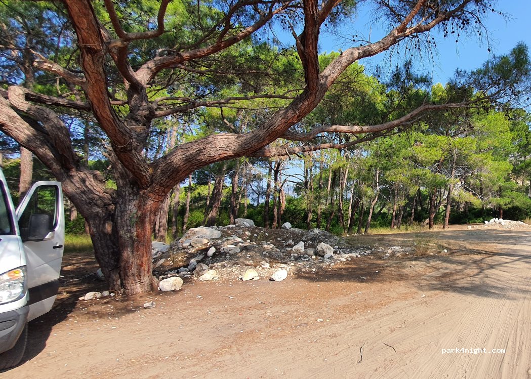 (07570) Gökyazı - Çayağzı Yolu — foto