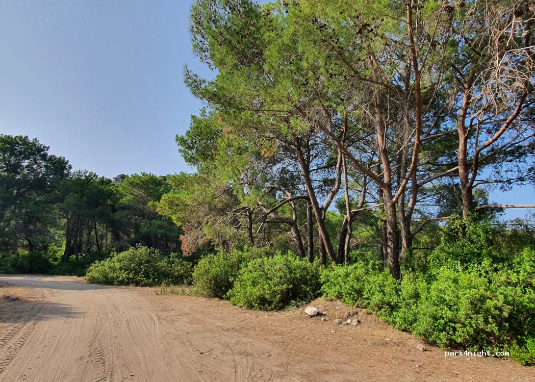 (07570) Gökyazı - Çayağzı Yolu — foto 2