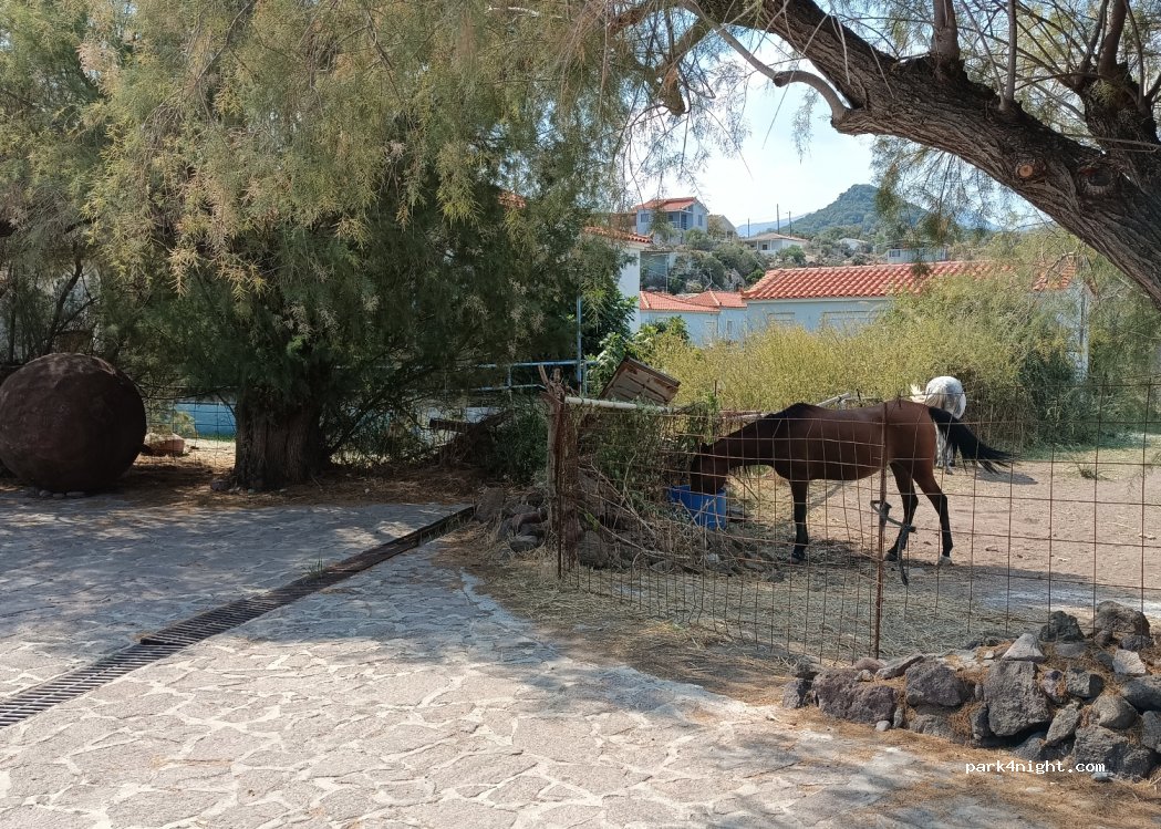 (811 04) Tsonia - Unnamed Road — foto 5