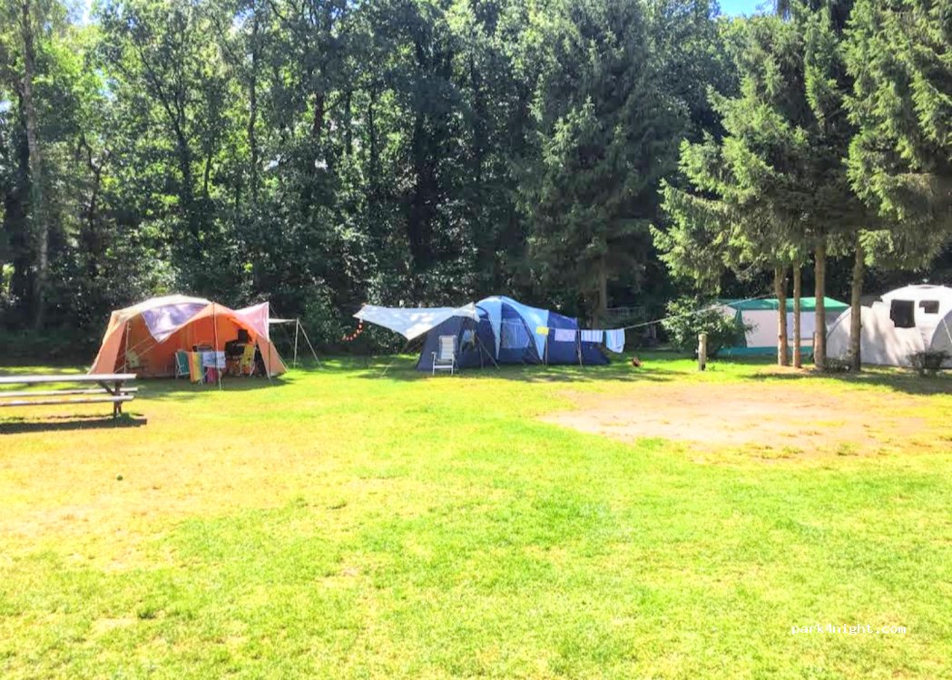 Camping Het Lorkenbos Noord — foto