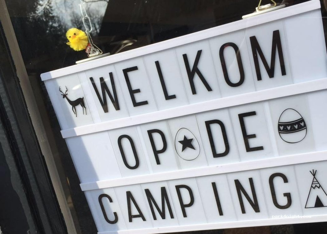 Camping Het Lorkenbos Noord — foto 4