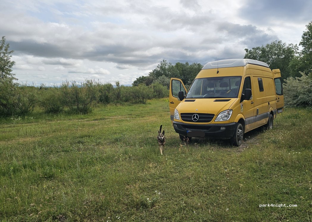 (223007) Agara - — foto