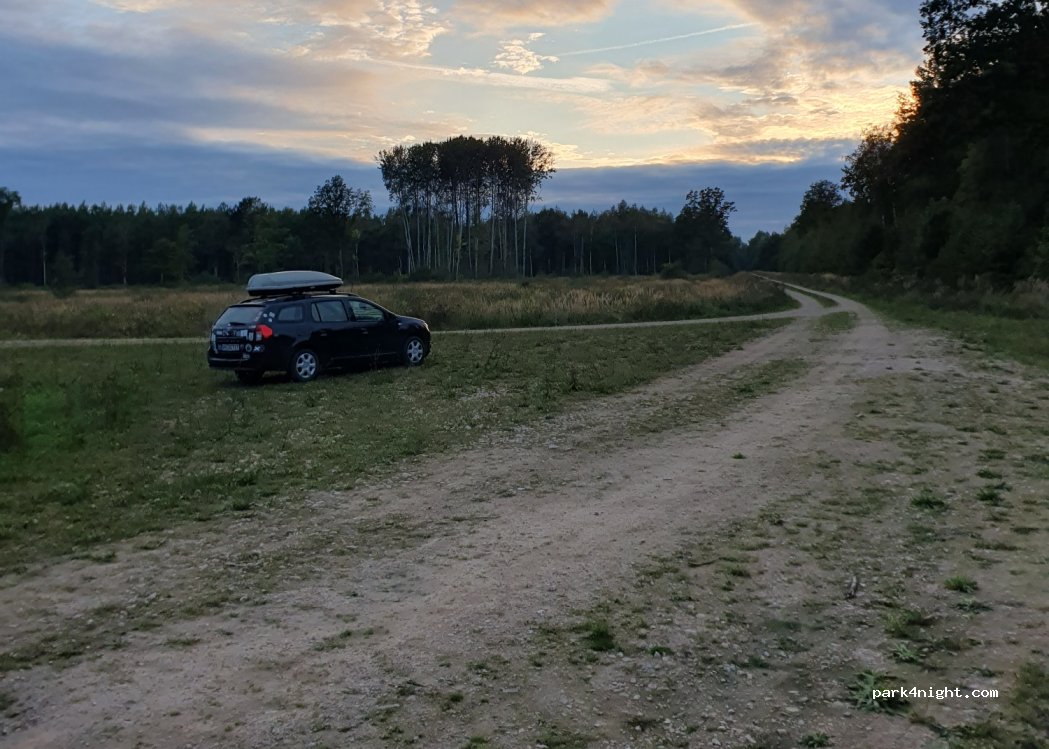 (3901) Rudzukrogs - — foto