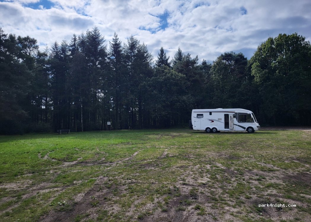 (5561 VC) Riethoven - 1 Wilgerijs — foto