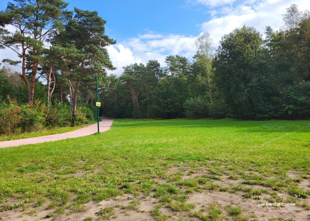 (5561 VC) Riethoven - 1 Wilgerijs — foto 2