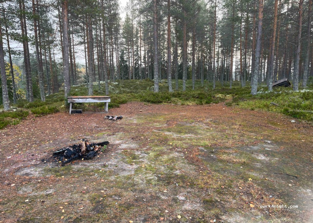 (2427) Plassen - 51 Primær Fylkesveg 26 — foto