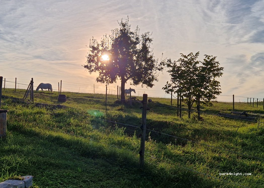 PferdeBauernhof Rigiberg — foto 4