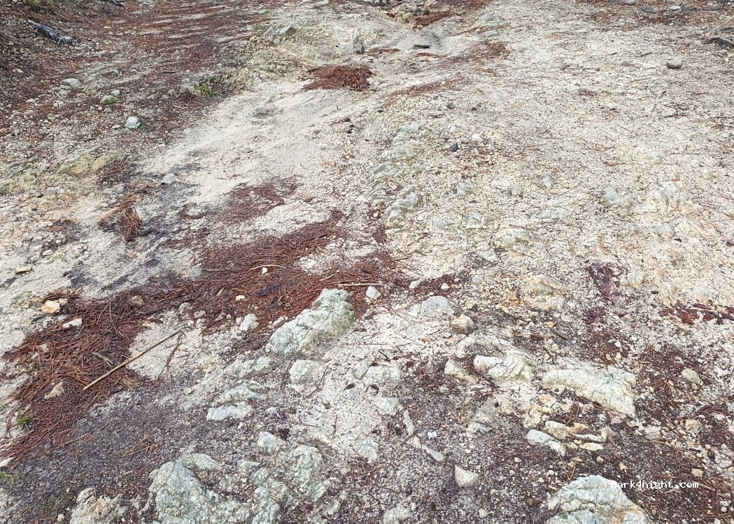 (07200) Saint-Julien-du-Serre - 1844 Route de la Coste D’En Haut — foto 4