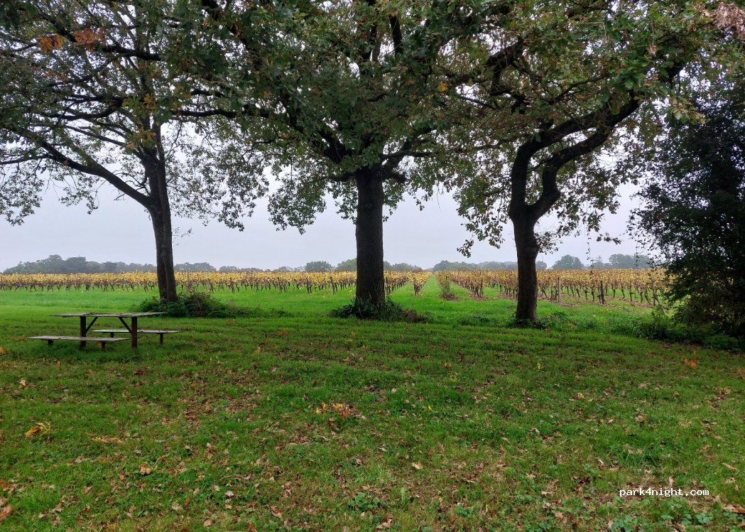 Aire de services camping car Saint-Philbert-de-Bouaine — foto 2