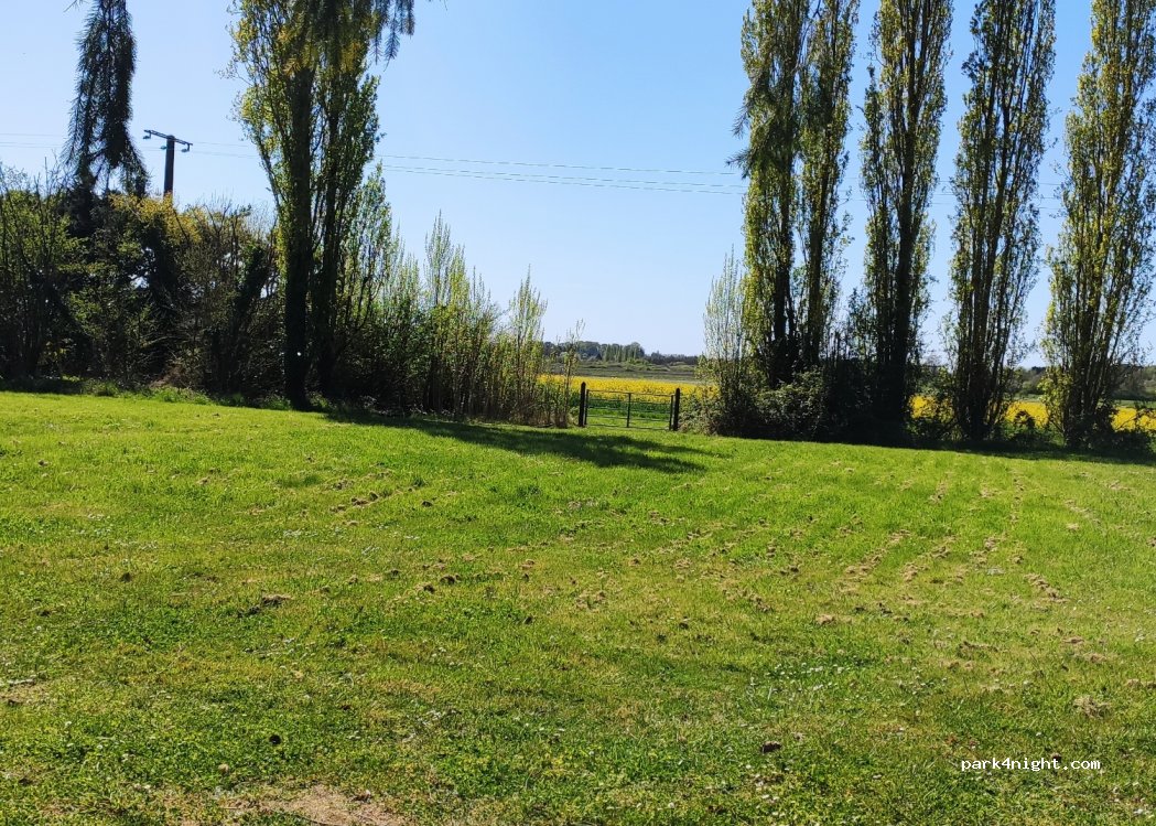 (41120) Le Controis-en-Sologne - 24 Route du Peu — foto 2