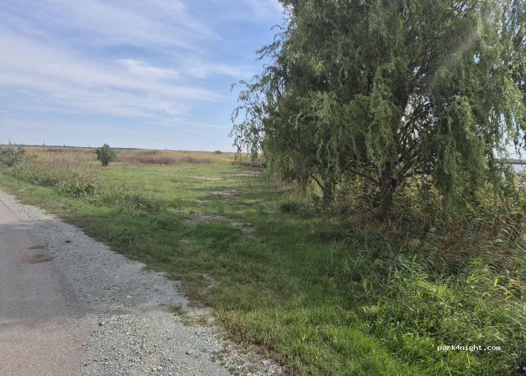 (927130) Gheorghe Lazăr - — foto 2