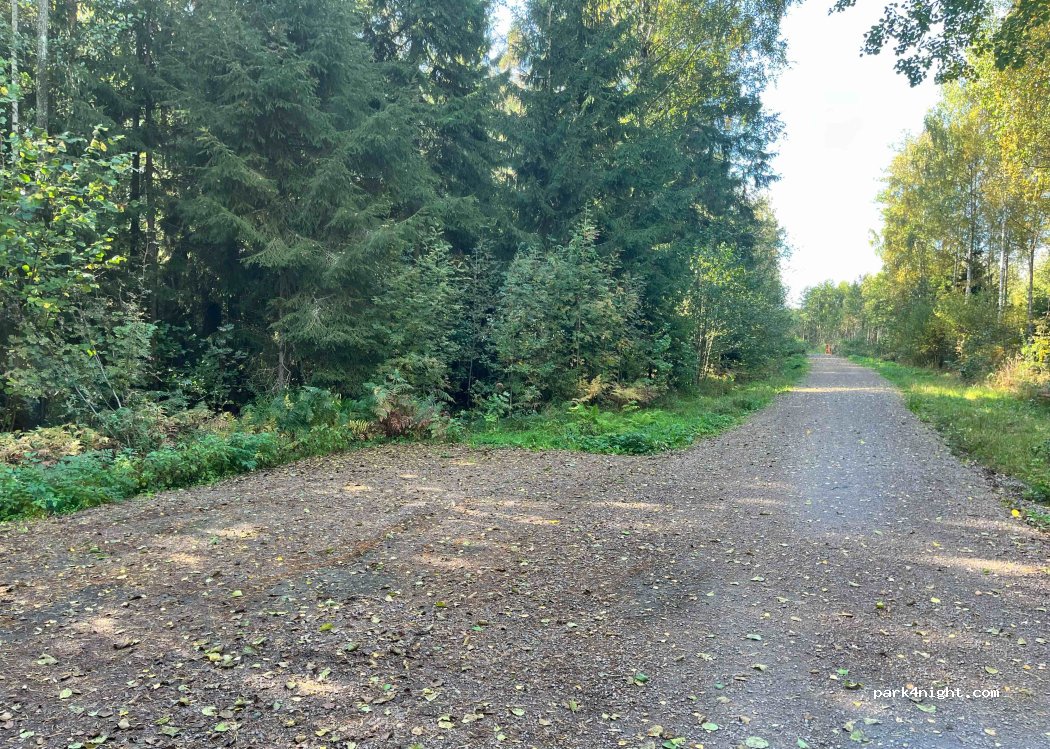 (544 92) Mullsjödal - Unnamed Road — foto