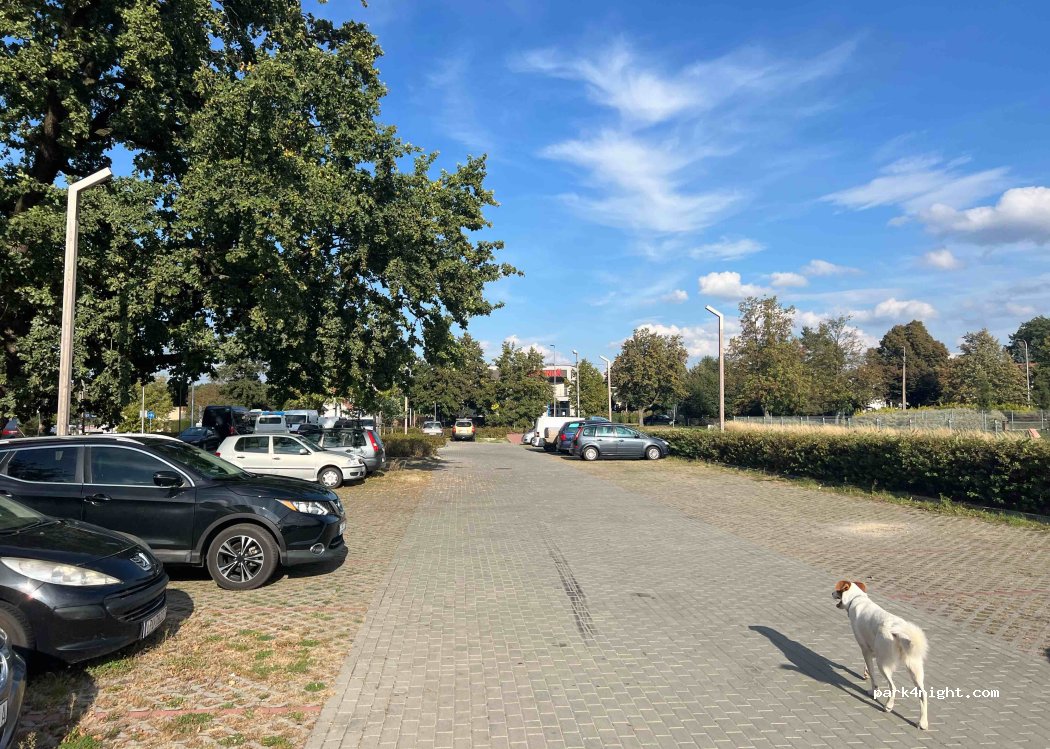 (24-100) Puławy - 27 Kaniowczyków — foto 2