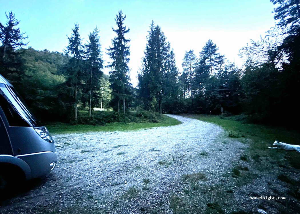 (43024) Neviano degli Arduini - SP80 — foto