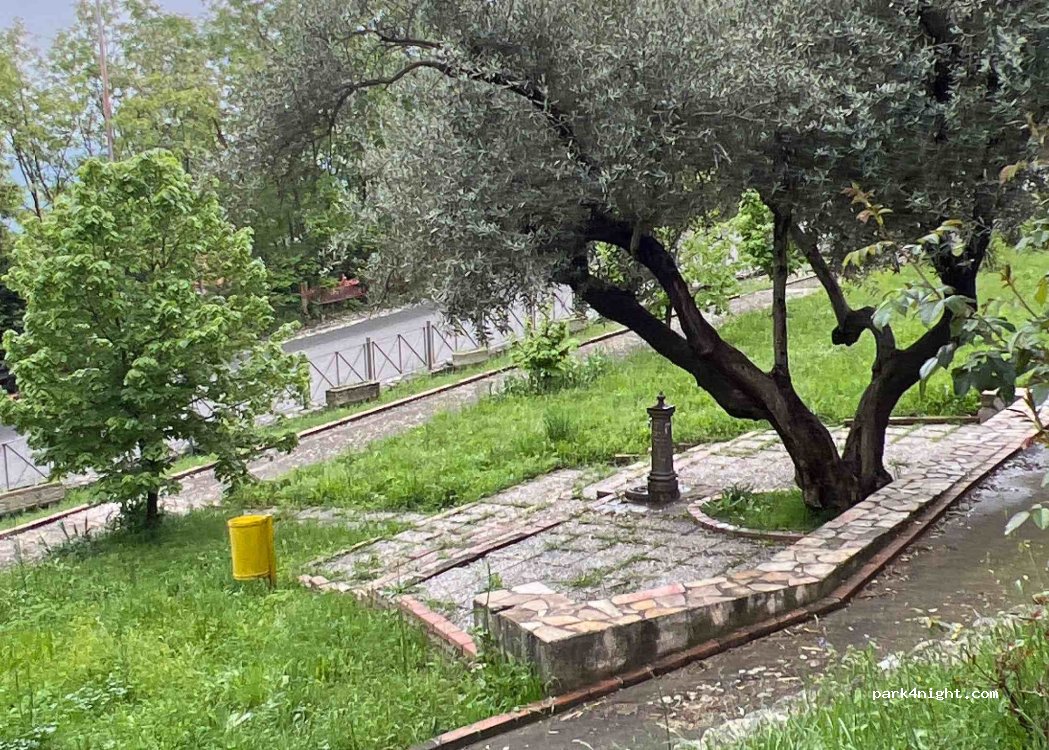 (87050) Rovito - 55 Via Roma — foto 4