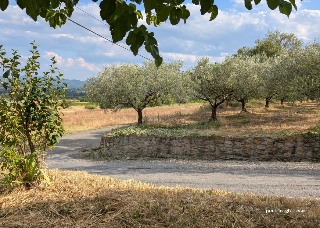 Domaine des Bragalous — foto 4