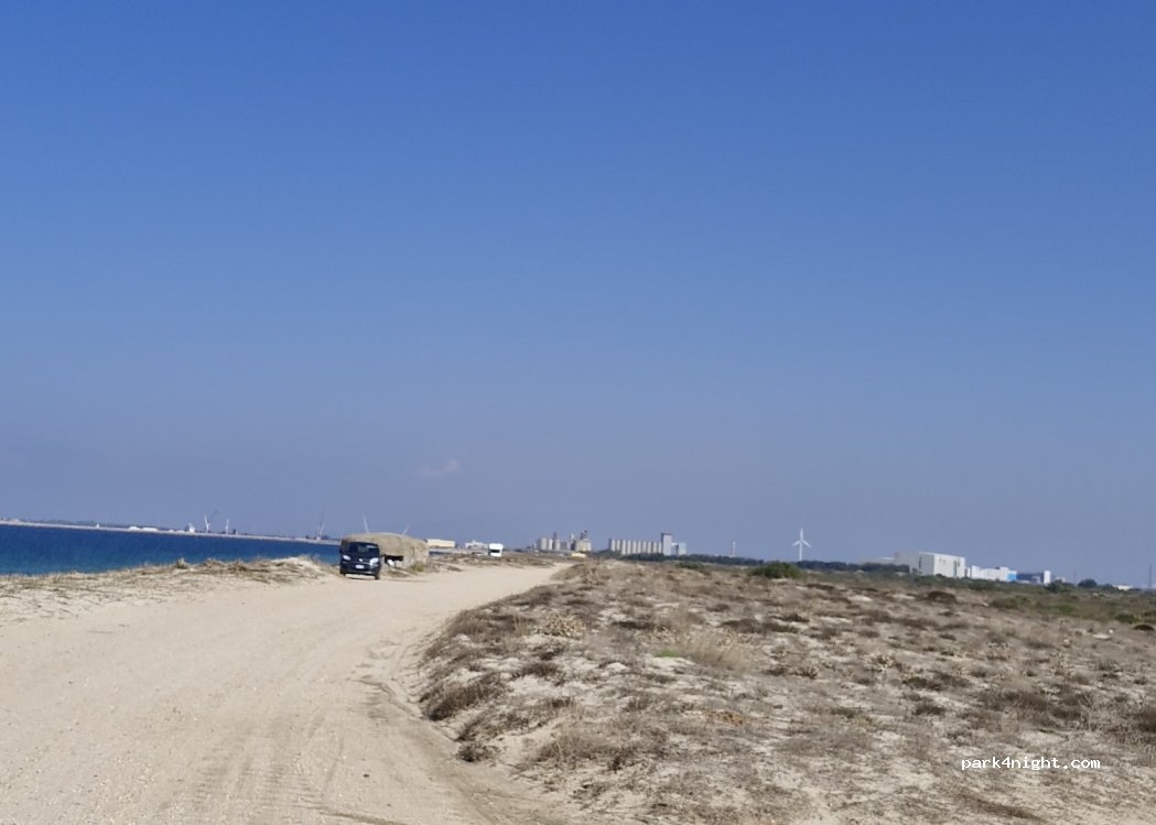 (09096) Arborea - — foto