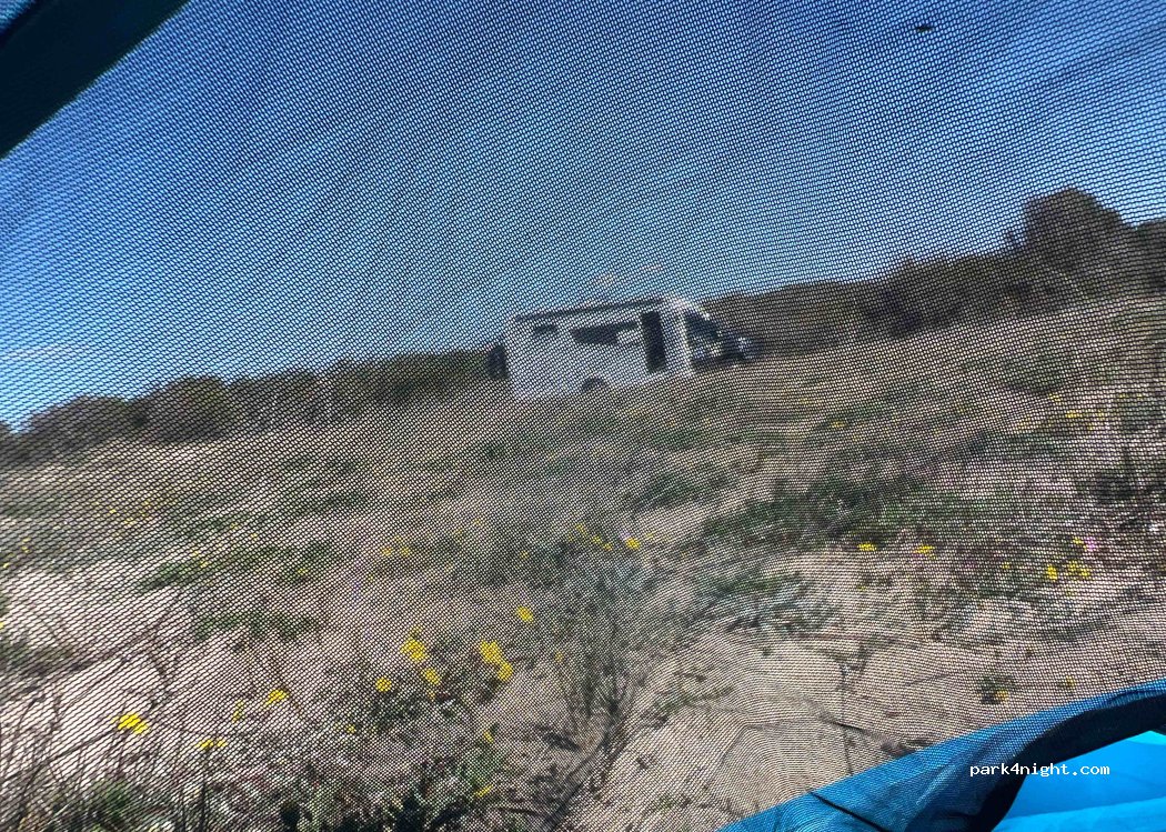 (09096) Arborea - — foto 2