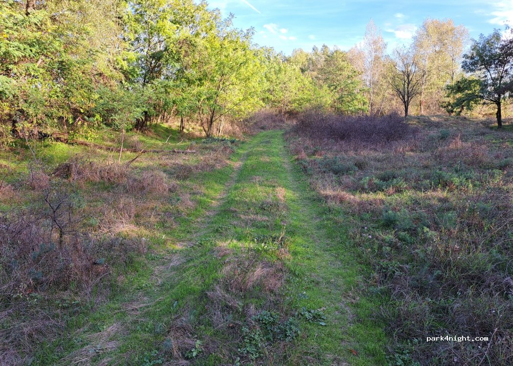 (305500) Lugojel - Unnamed Road — foto 3