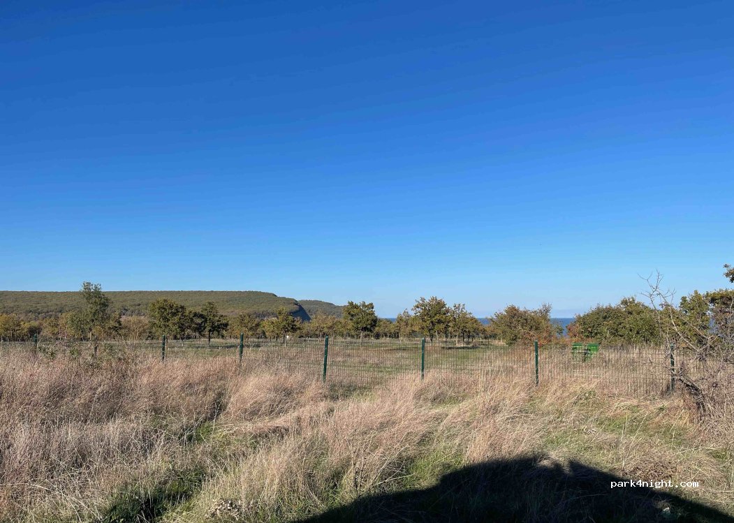 (8252) Emona - — foto