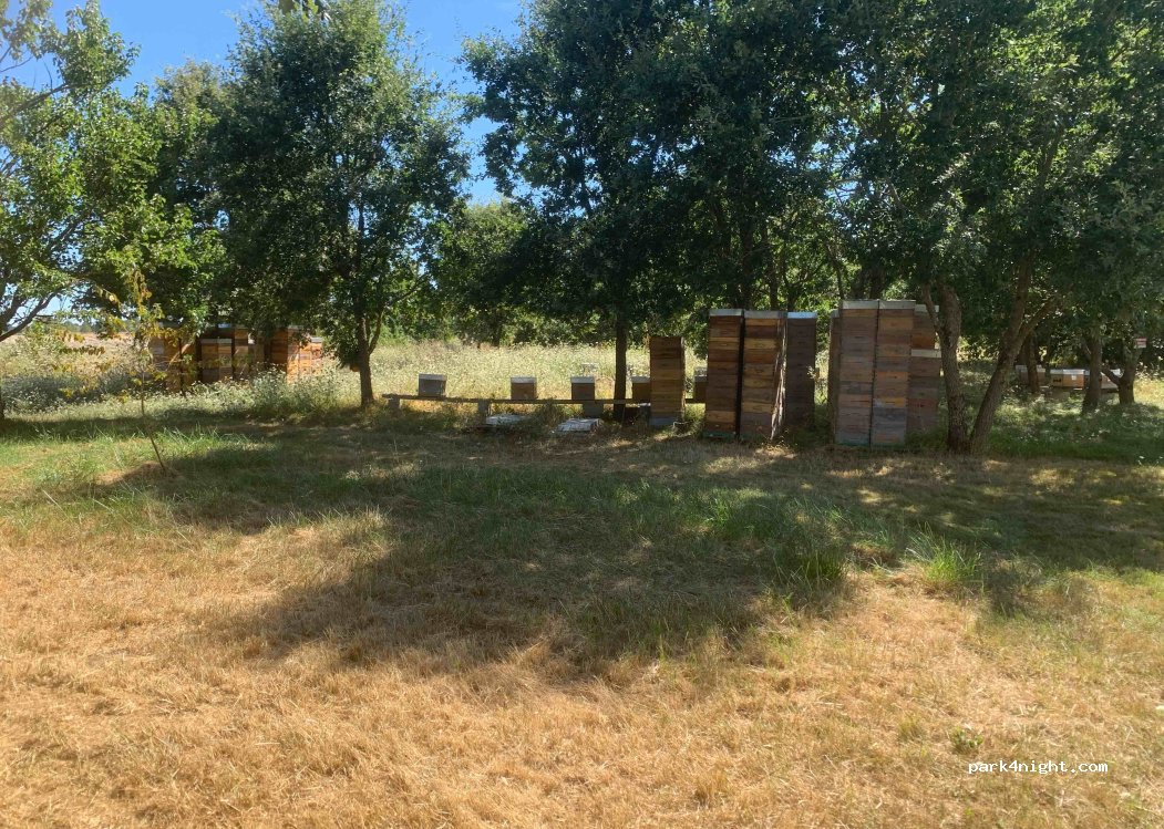 (86300) Paizay-le-Sec - 1 Les Pots — foto 2