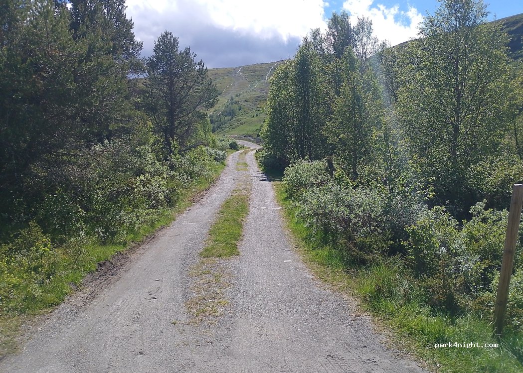 (2683) Tessanden - 1 Primær Fylkesveg 51 — foto 4