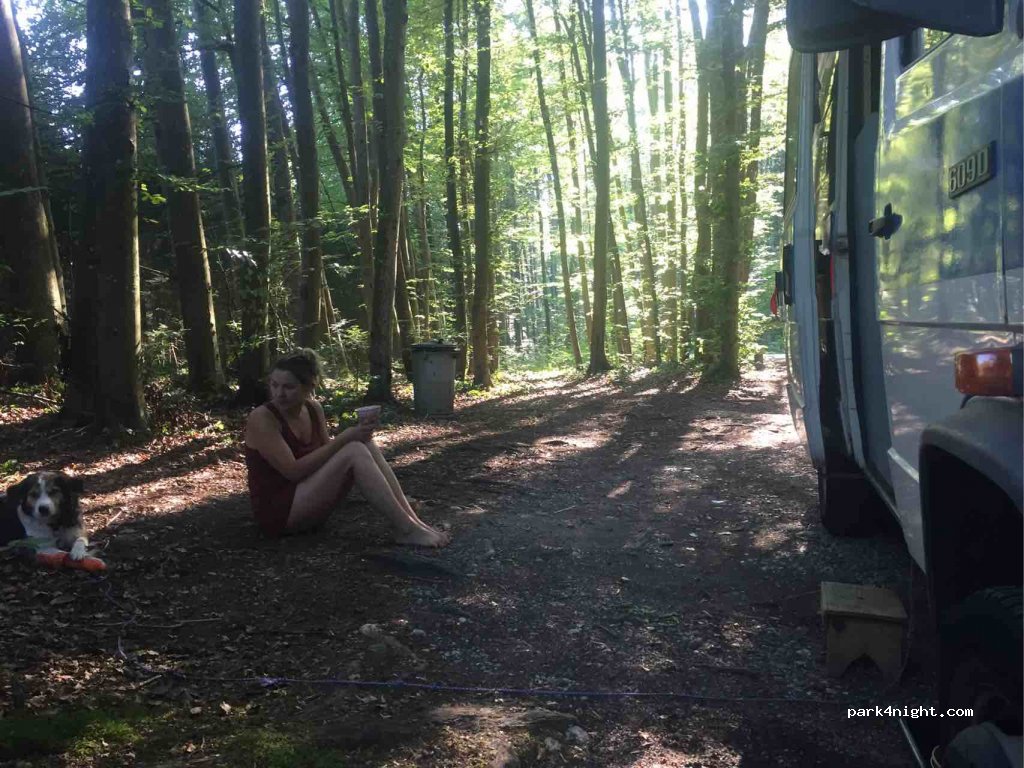 (4662) Ohlsdorf - Sandhäuslberg — foto