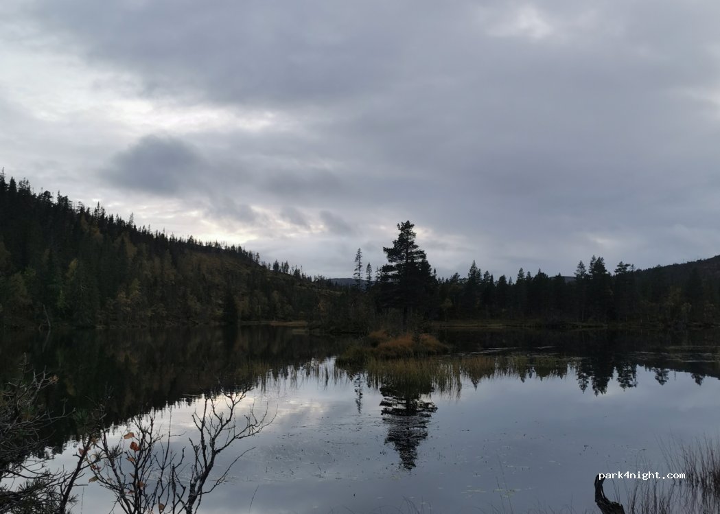 (7740) Steinsdalen - 1 Primær Fylkesveg 715 — foto