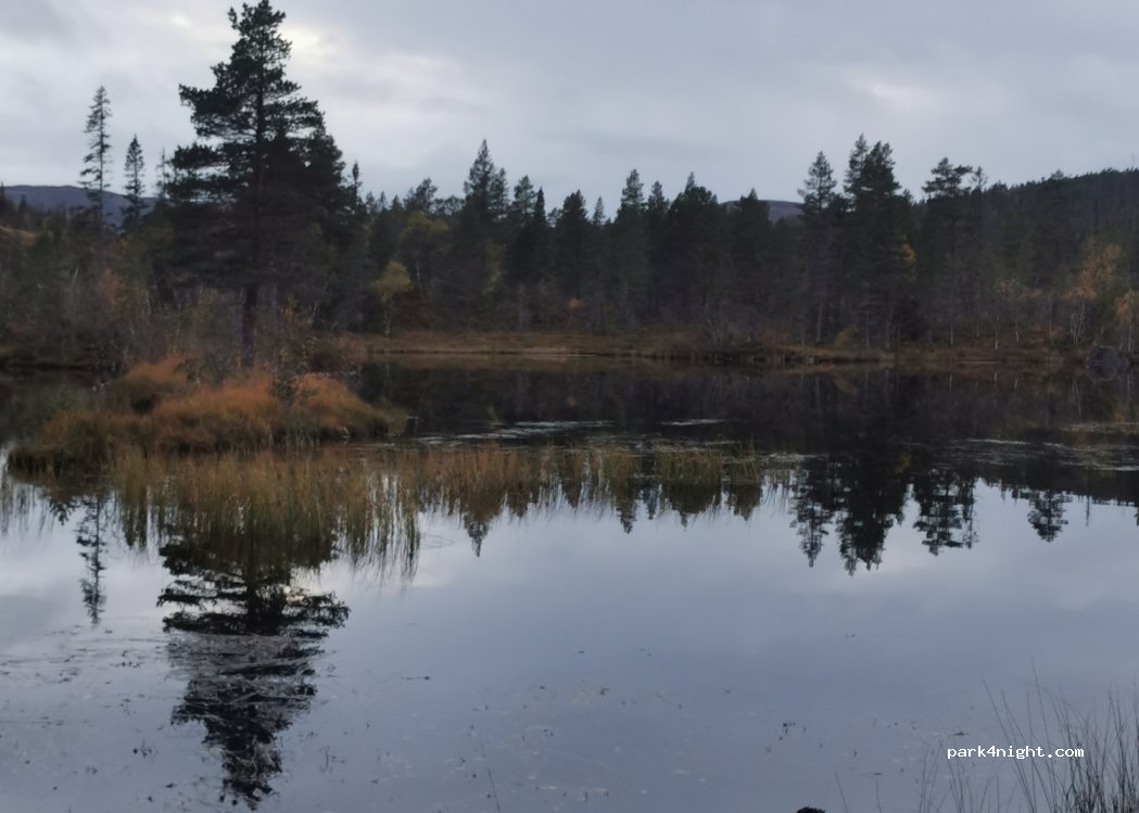 (7740) Steinsdalen - 1 Primær Fylkesveg 715 — foto 2